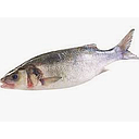 [4236] Loup de mer, filets s/peau 400 - 800 gr