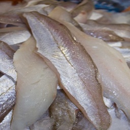 [4238] Merlan, filet single 50-70g a/peau "prix s/demande"