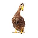 [2512] Canard Cherrywari PAC