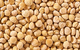 [9010] Marrons, entiers épluchés