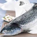 [4320] Saumon, entier 4-5 kg "prix s/demande"