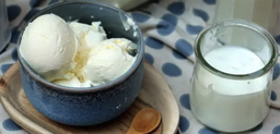 [7348] Yaourt nature - Crème Acidulée, glace artisanale