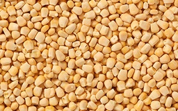 [5062] Maïs en grains