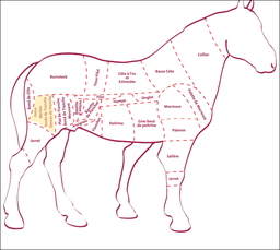 [3026] Tranche ronde de cheval *