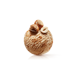 [7372] Noisette, glace artisanale