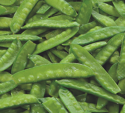 [5082] Pois mange-tout extra fins