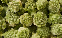 [5084] Romanesco