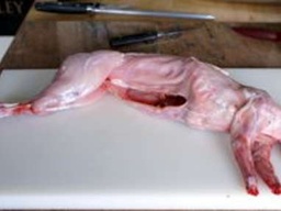 [9708] Lièvres entiers sans peau vidé env. 2.5 kg par pce