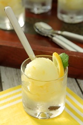 [7422] Limoncello, sorbet artisanal