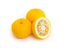 [73008] Yuzu, sorbet artisanal