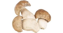 [5547] Bolets frais / selon disponibilité