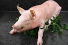 [3205] Cochon de lait a/tête "prix s/demande"