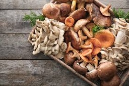 [5516] Mélange de champignon émincé sans paris 5 sortes