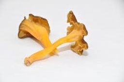 [5522] Mélange "Exquis" 5 sortes (Bolets, bolets jaunes, chanterelles blanchies, namecos, shiitakes)