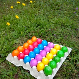 [1440] Oeufs cuits  +53gr DLC +28 jours (45714046)
