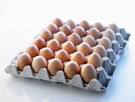 [1333] Oeufs importés +63g 180 pces