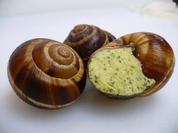 [3536] Escargots moyens sur assiettes alu