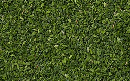 [5207] Ciboulette coupée