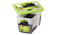 [6359] Cassis purée CapFruit