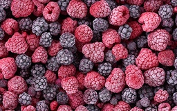 [6206] Baies des bois (framboises, mûres, myrtilles, groseilles)