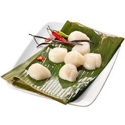 [40511] Noix de coquilles St.-Jacques 30 pcs/kg MSC