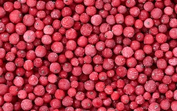 [6218] Groseilles rouges