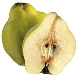 [6349] Noix de coco purée CapFruit