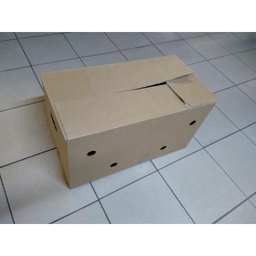 [1825] Carton vide Grand carton 594x301x326 cm