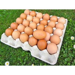 [0030] Oeufs CH, Gros +63 gr. DLV +20 jours