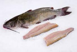 [4306] Loup (catfish), filet 400-800g MSC