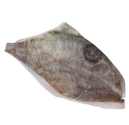 [42141] Doré Austral, filets bloc 60 - 110 gr (St-Pierre Néo-Zélandais)