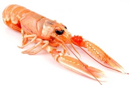 [4036] Queues de Langoustines décortiquées 20/30 (copie)