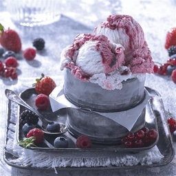 [73026] Yaourt Fruits des Bois, glace artisanale