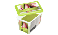 [6301] Rhubarbe, purée Boiron