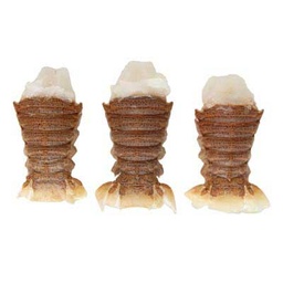 [4000] HLSO Queue de cigale 40-80g "ATLANTIS" IQF