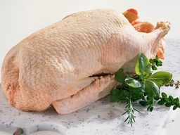 [9106] Filet de canard sauvage a/peau (copie)