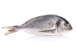 [4381] Loup de mer entier 3-400g Silver Star IQF