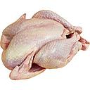 [2413] Poulet de Bresse 1.5-1.8 kg PAC / Au Chapon Bressan