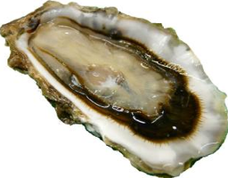 [40133] Huître creuse N°2 Fine de Bretagne