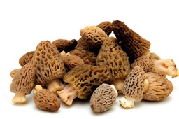 [5533] Morilles barquette 200g