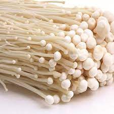 [5558] Enoki Bio