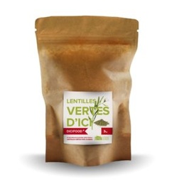 [65921] Lentilles vertes