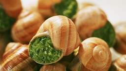 [3530] Escargots de Bourgogne N:8