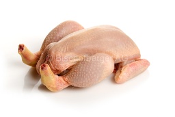 [2204] Coquelet entier 2ème choix CH 400-600g