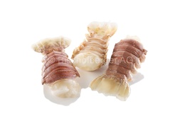 [4012] HLSO Queue de cigale 60-110g IQF