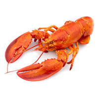[4032] Homard entier cuit 400 gr
