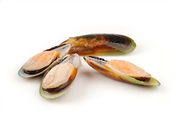 [4042] Moules demie en coquilles